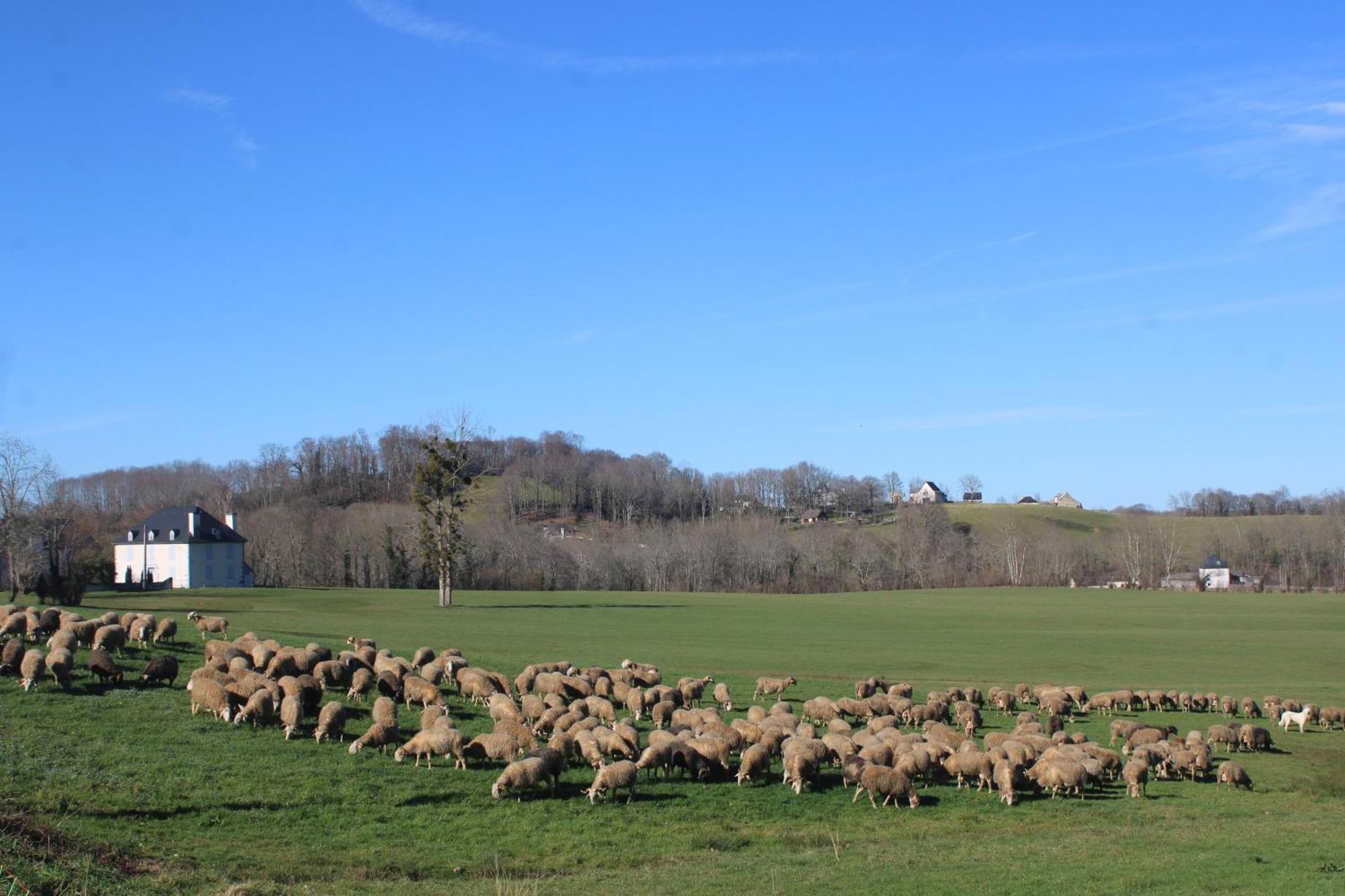 Gite Maison Chourrist Capbis Bagian luar foto