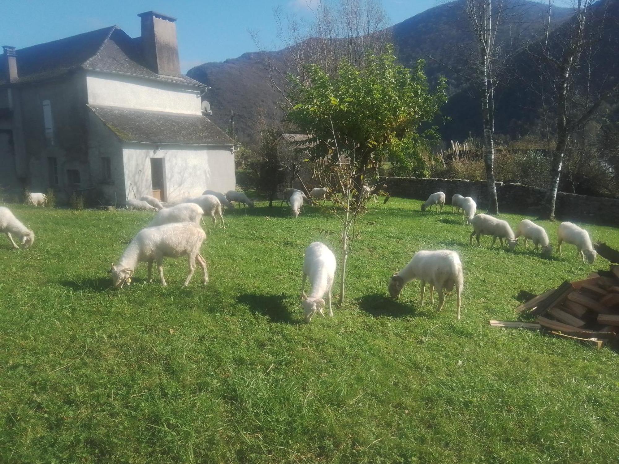 Gite Maison Chourrist Capbis Bagian luar foto